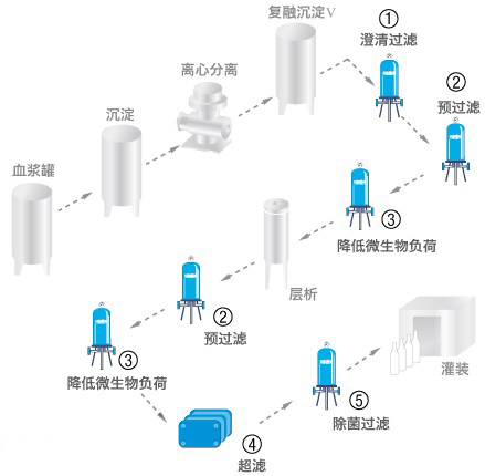 血液制品-工艺流程02.jpg