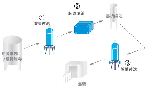 疫苗-工艺流程02.jpg