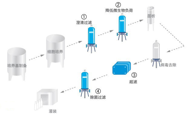 单抗-工艺流程02.jpg