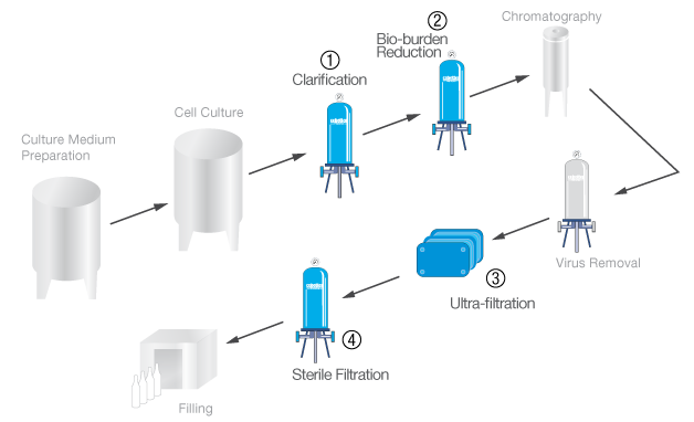 Monoclonal-Antibodies.png