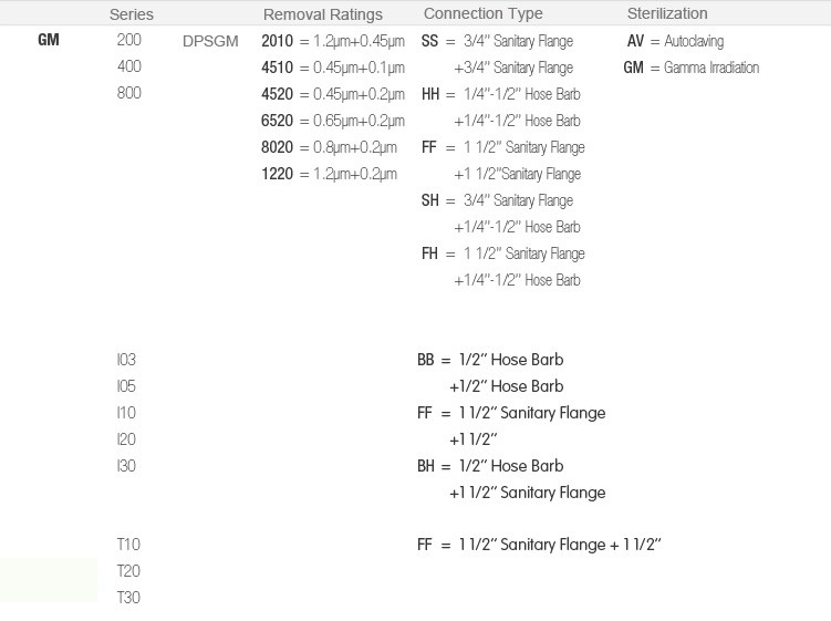 DPSGM2 Ordering Information