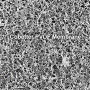 Hydrophilic Pvdf Membrane Oem Membranes And Devices Cobetterfiltration